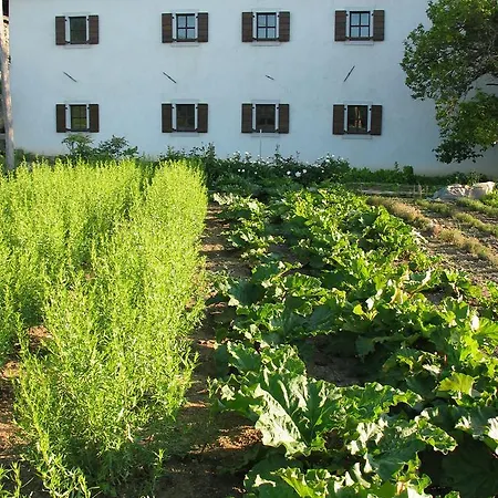 Πανσιόν Majerija 3*