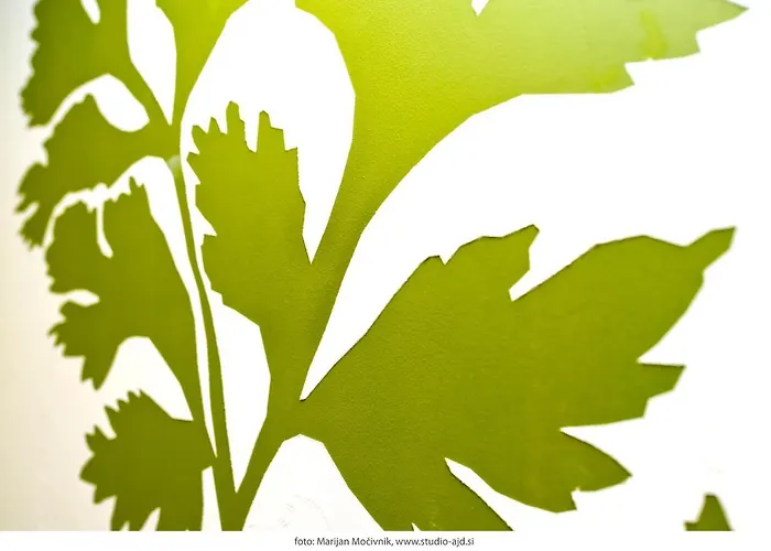 Majerija Affittacamere