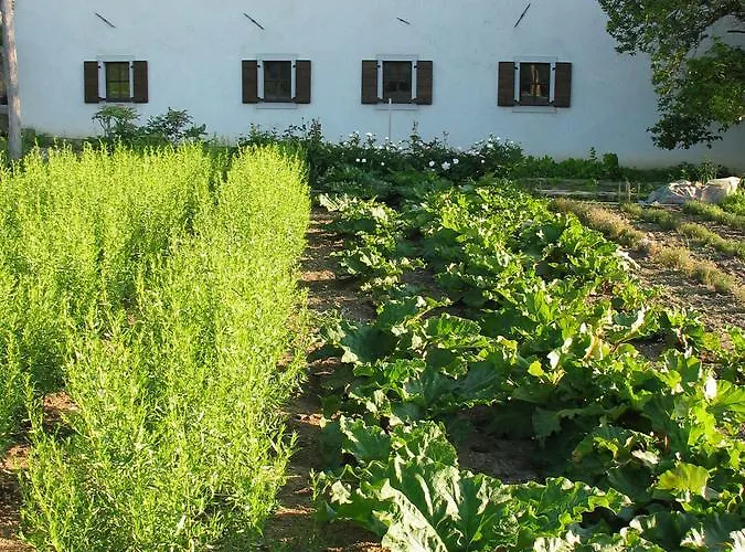 Hiša za goste Majerija 3*